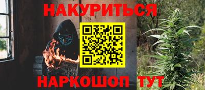 шишки Кинель