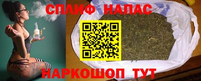 гидропоника Кингисепп