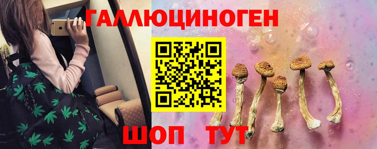 Псилоцибиновые грибы Psilocybine cubensis  Галлюциногенные грибы Psilocybe  где можно купить   Кропоткин  Вход с VPN 