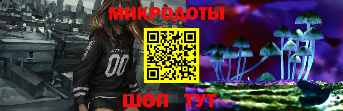 Псилоцибиновые грибы Psilocybe Кропоткин