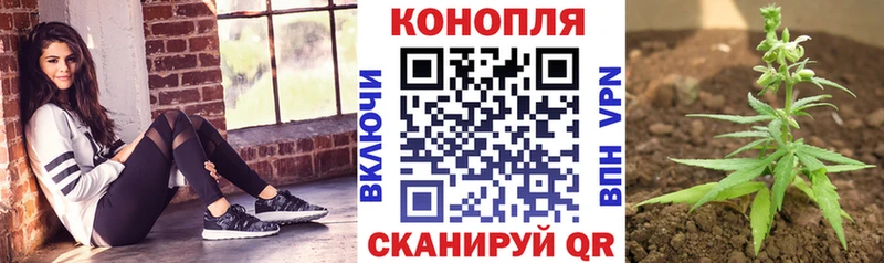 Конопля марихуана  Кропоткин 